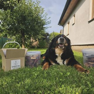 Sen každého Čumáka! 🐕 Obklopen prvotřídními a lahodnými pamlsky! 🦴 A páníčka zase potěší fakt, že jsou navíc i zdraví...